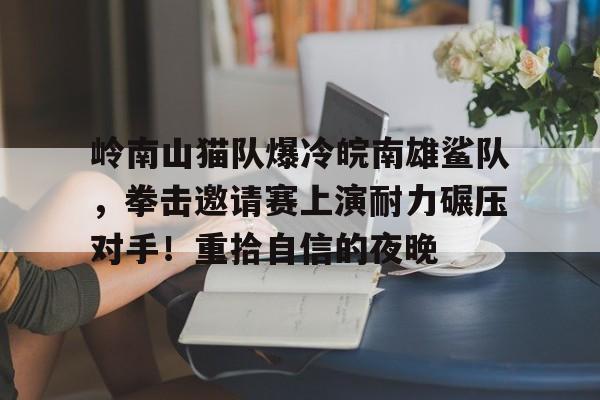  魔山拳击比赛 